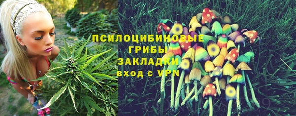 дживик Баксан