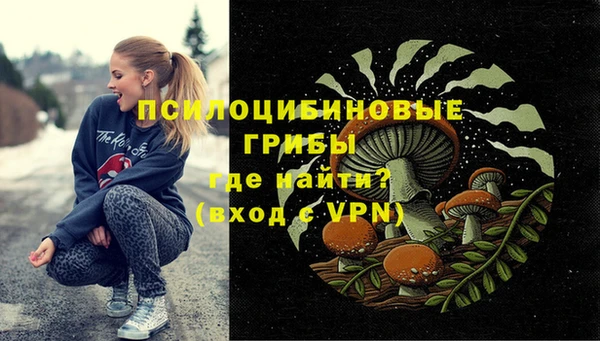дживик Баксан