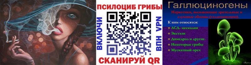 KRAKEN зеркало  нарко площадка формула  Городище  Псилоцибиновые грибы Magic Shrooms  закладки 
